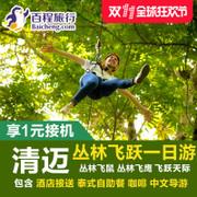 百程泰国清迈丛林飞跃一日游飞鹰飞鼠长臂猿半日游skyline旅游 